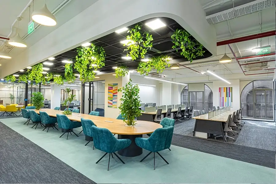 Delta NIFT Digha Workspace Image Delta NIFT Digha Workspace Image